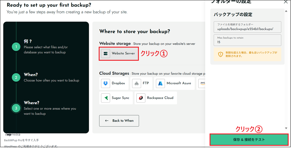 「Website Server」 を選択し、「保存 & 接続をテスト」 をクリックする画面
