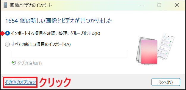 「インポートする項目を確認、整理、グループ化する」 を選択し、その他のオプションをクリックする画面
