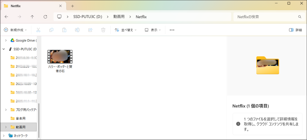 SDDの中に動画ファイルが表示されている画面