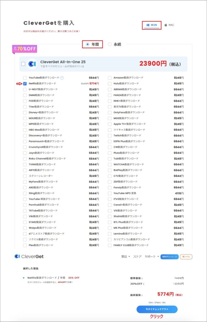 所定の項目を選択し、今すぐチェックアウトをクリックする画面