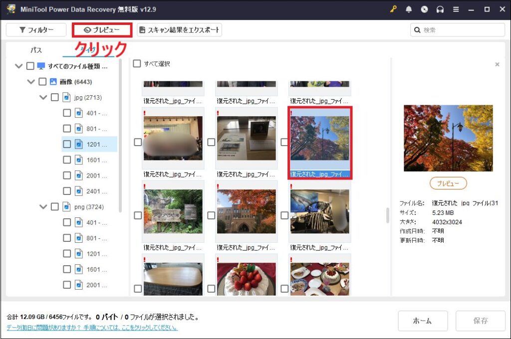 「プレビュー」をクリックし、写真を確認する画面