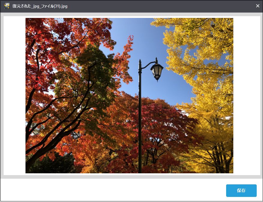 写真が表示された画面